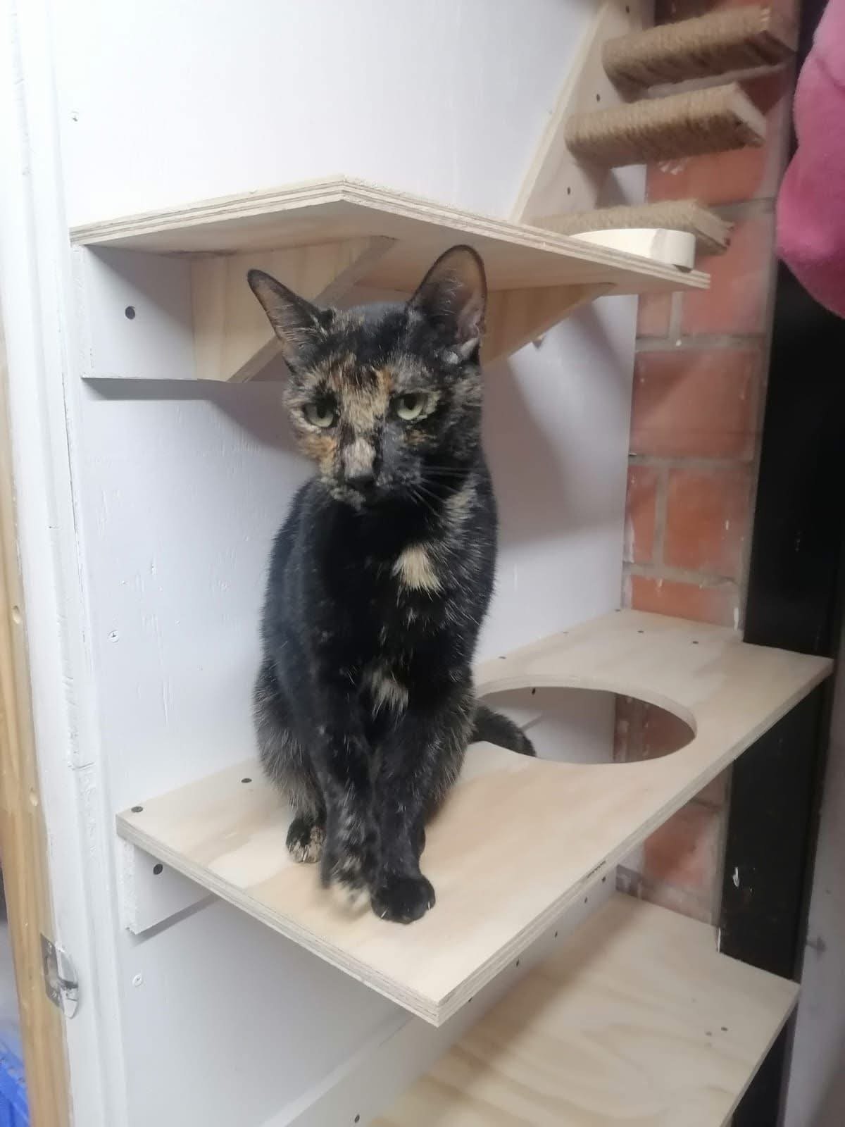Akane 💙 Encontrada