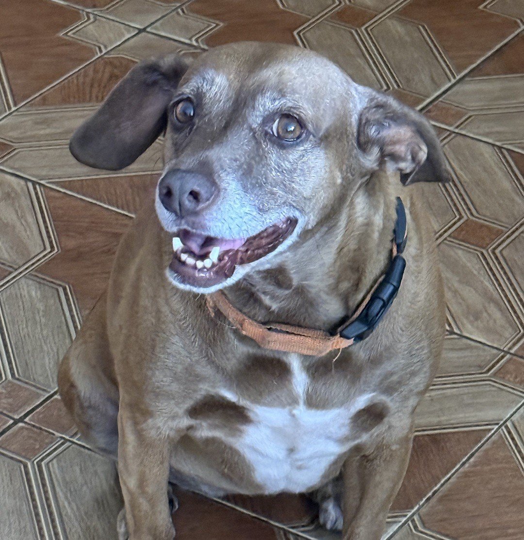 Kuky 💙 Encontrada