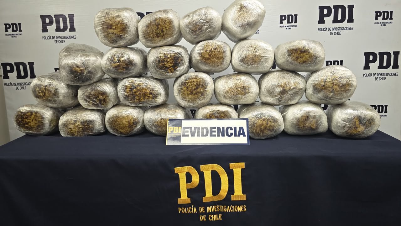 PDI Arica detuvo a dos imputados por tráfico de drogas: portaban más de 28 kilos de cannabis sativa ocultos en un camión de alto tonelaje